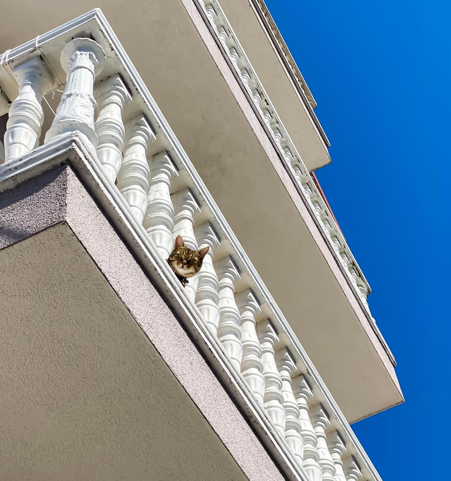 Northgate Apart-Villa Shkodër Esterno foto